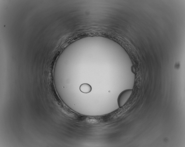 X0000095920706200801110855