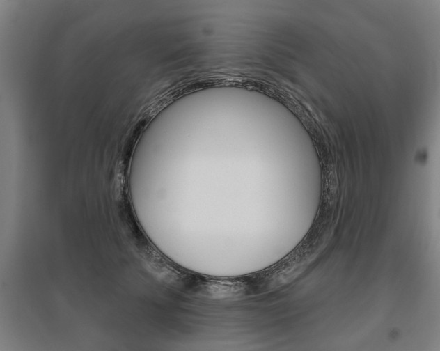 X0000095920707200801110855