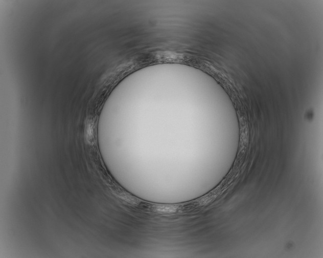 X0000095920709200801110855