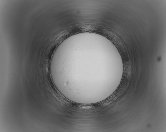 X0000095920710200801110855