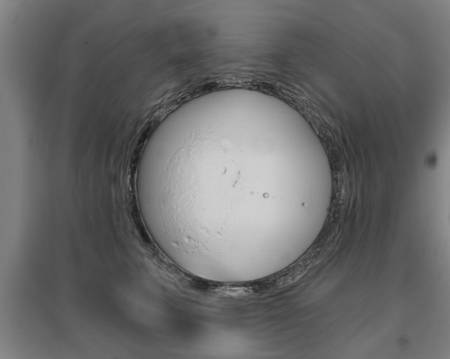 X0000095920711200801110855