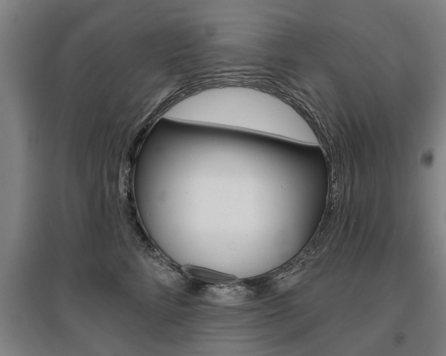 X0000095920712200801110855