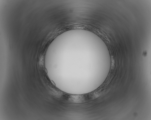 X0000095920713200801110855