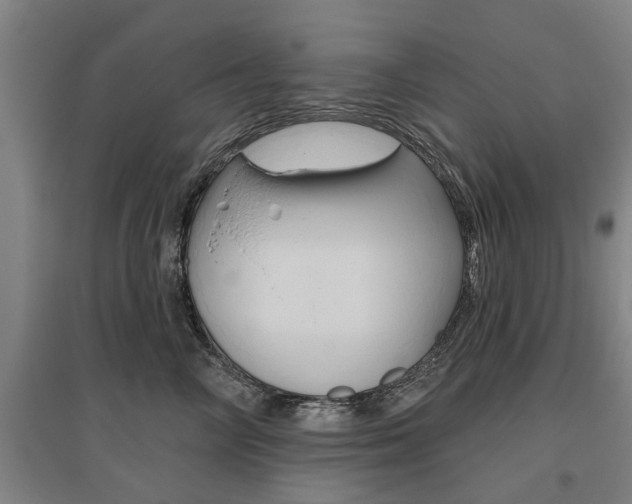 X0000095920714200801110855