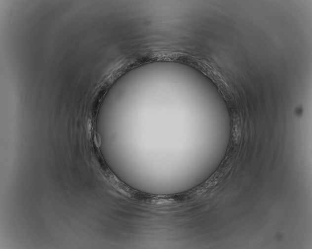 X0000095920716200801110855