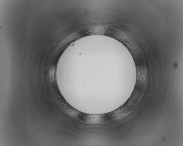 X0000095920717200801110855