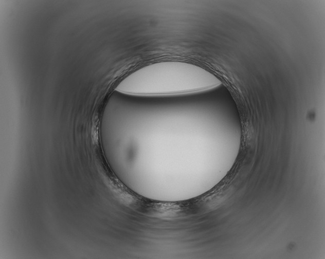 X0000095920719200801110855