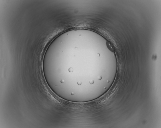 X0000095920721200801110854