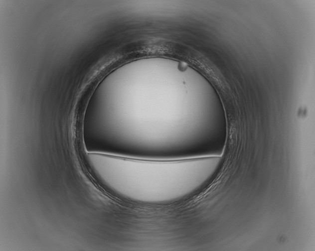 X0000095920722200801110854