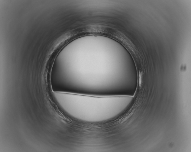 X0000095920723200801110854