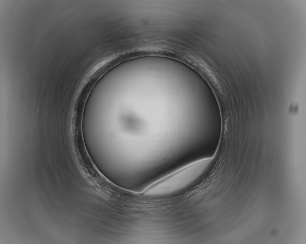 X0000095920724200801110854
