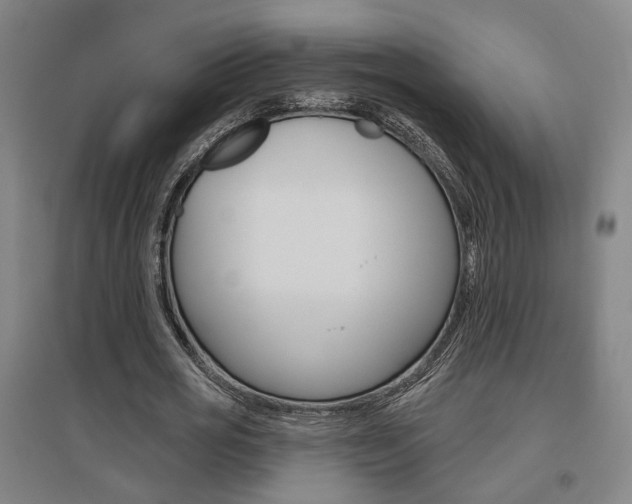 X0000095920725200801110854