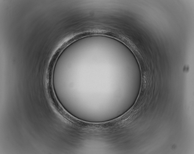 X0000095920726200801110854