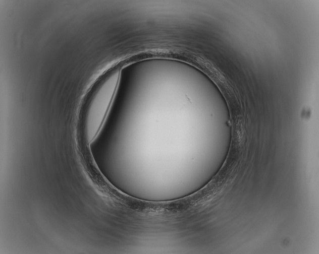X0000095920728200801110854