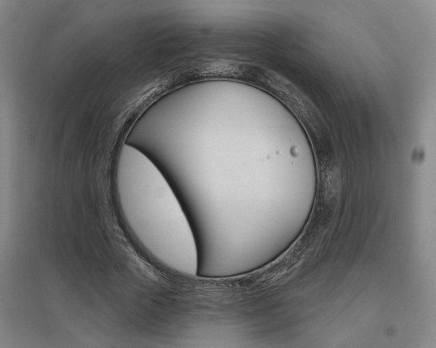 X0000095920729200801110854