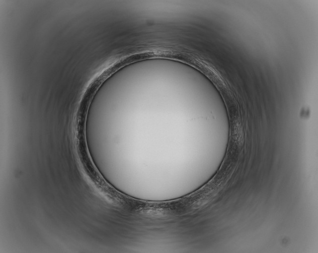X0000095920730200801110854
