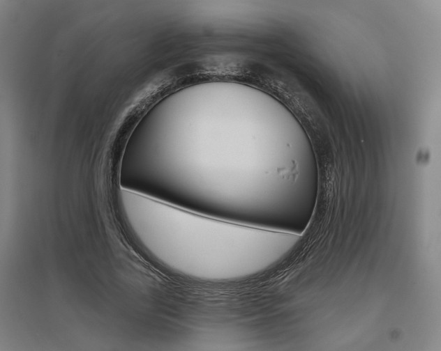 X0000095920731200801110854