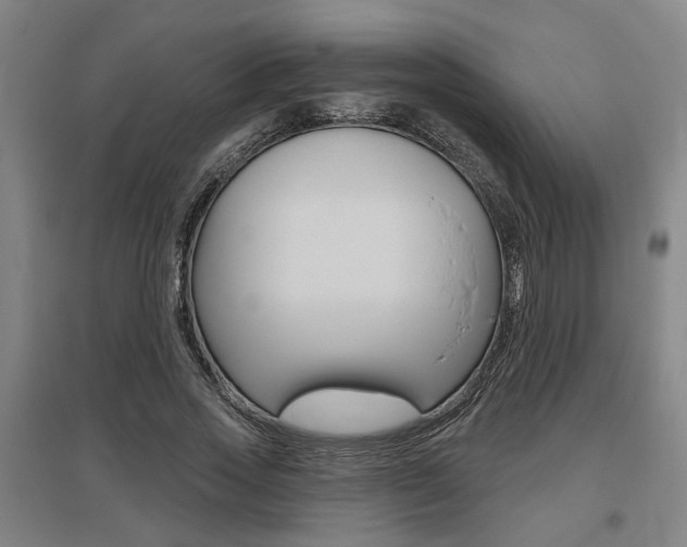 X0000095920733200801110854