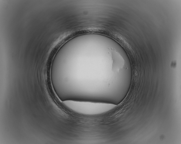 X0000095920734200801110854