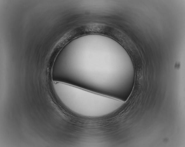 X0000095920735200801110854