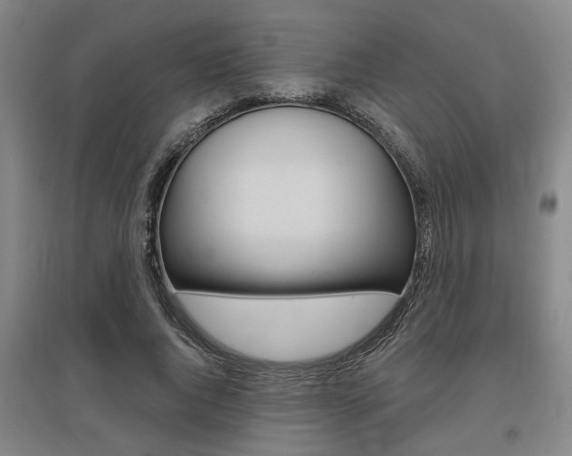 X0000095920736200801110854