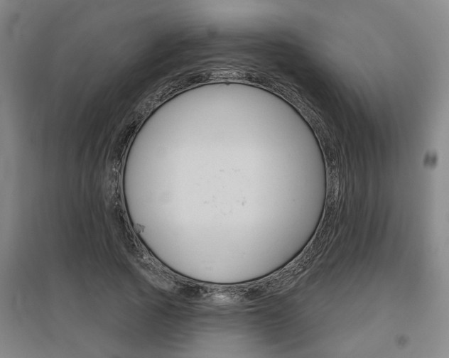 X0000095920737200801110854