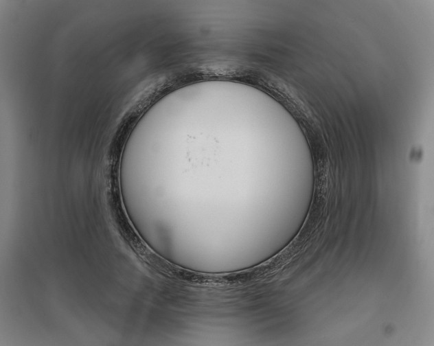 X0000095920738200801110854