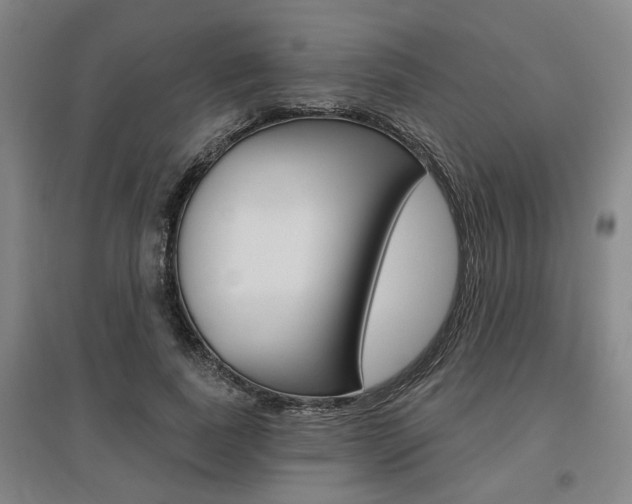 X0000095920739200801110854