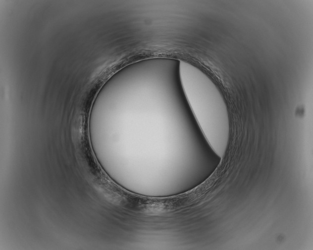 X0000095920740200801110854