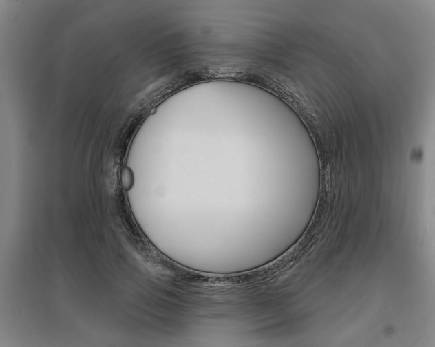 X0000095920741200801110854