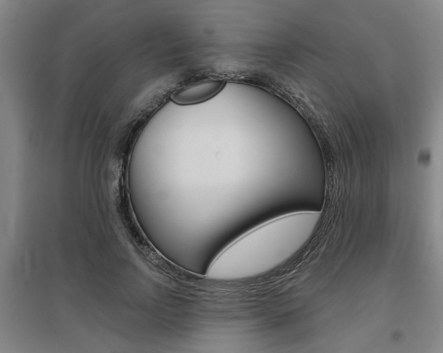 X0000095920742200801110854