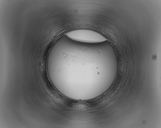 X0000095920743200801110854
