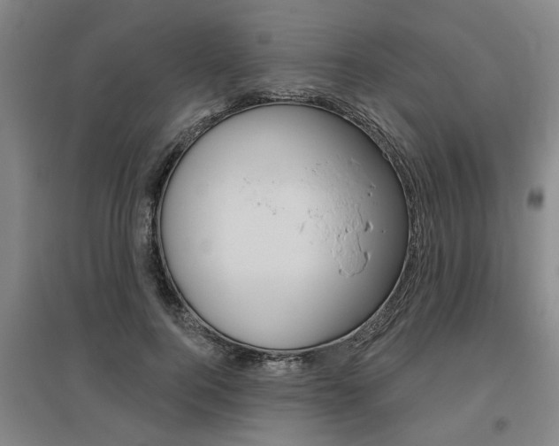 X0000095920744200801110854