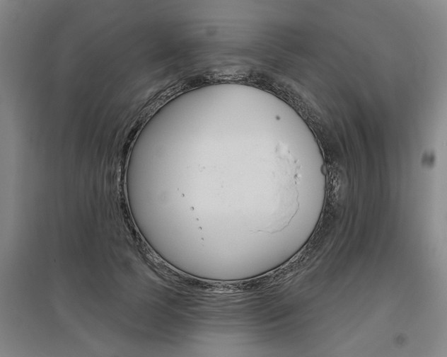 X0000095920745200801110854