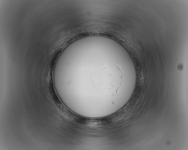 X0000095920746200801110854