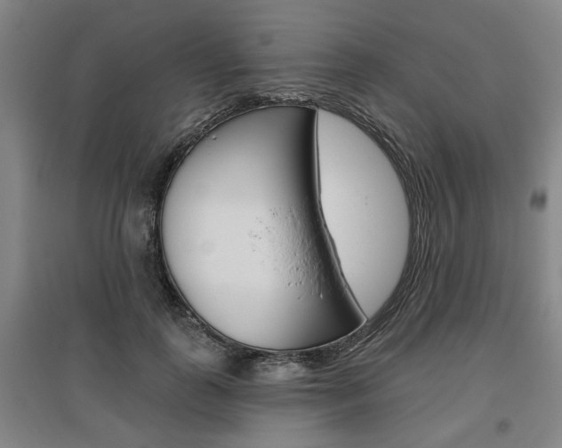 X0000095920747200801110854