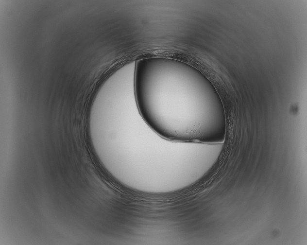 X0000095920748200801110854