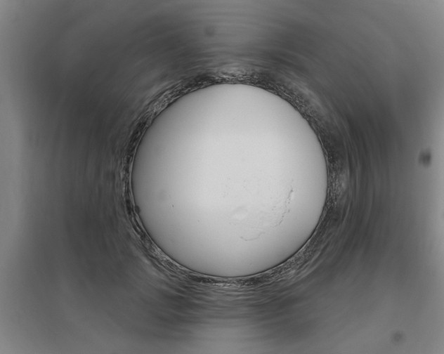 X0000095920749200801110854