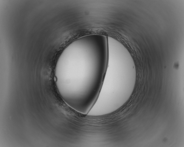 X0000095920750200801110854