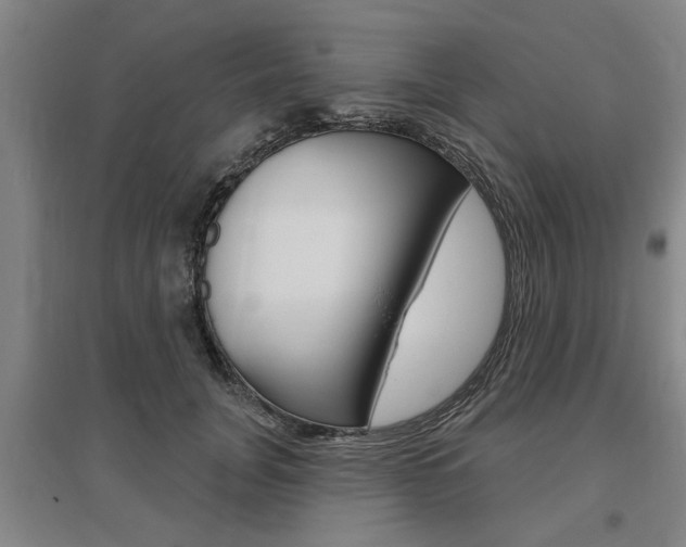 X0000095920751200801110855