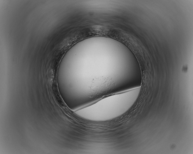 X0000095920752200801110855