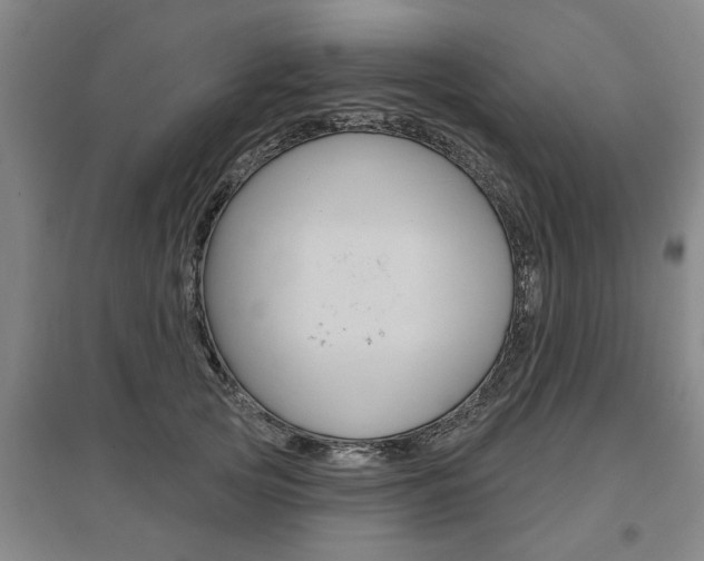 X0000095920753200801110855