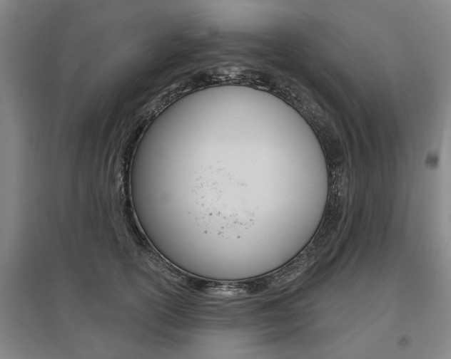 X0000095920754200801110855