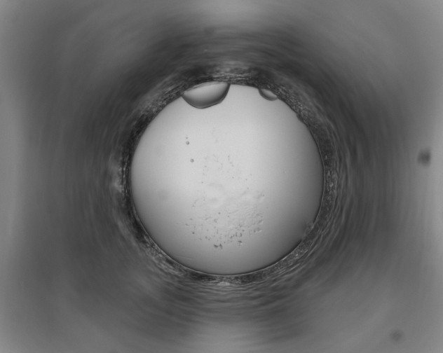 X0000095920755200801110855