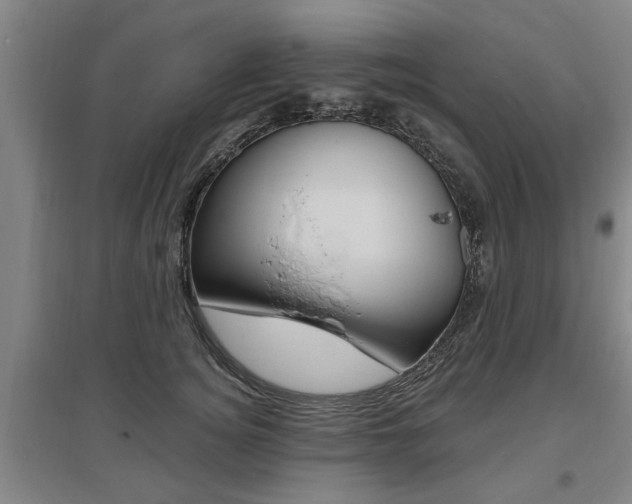 X0000095920756200801110855