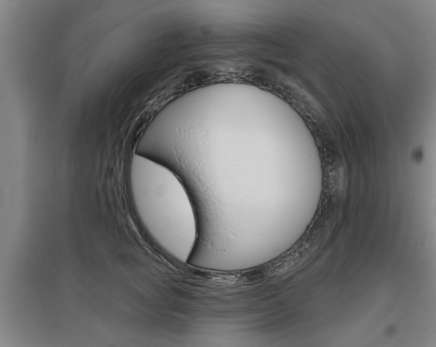 X0000095920757200801110855
