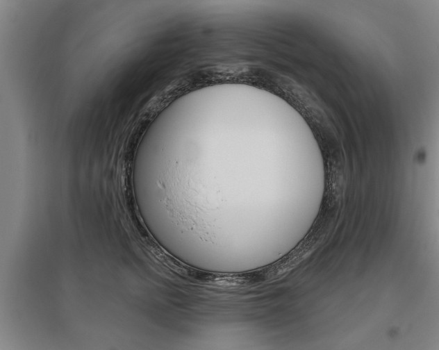 X0000095920758200801110855