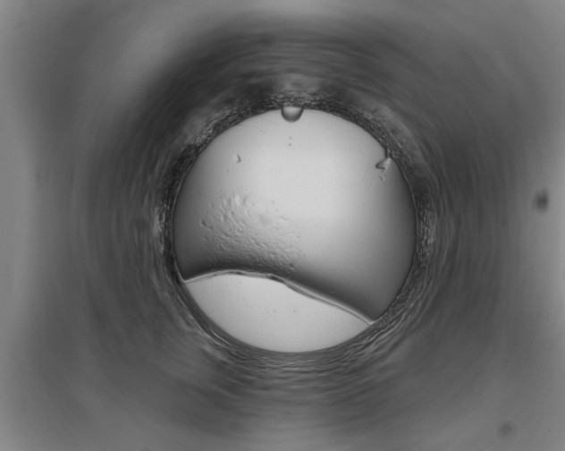 X0000095920759200801110855