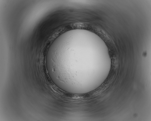 X0000095920760200801110855