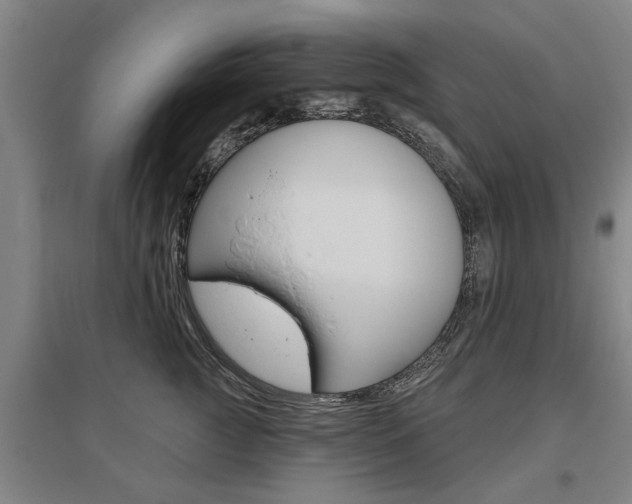 X0000095920761200801110855